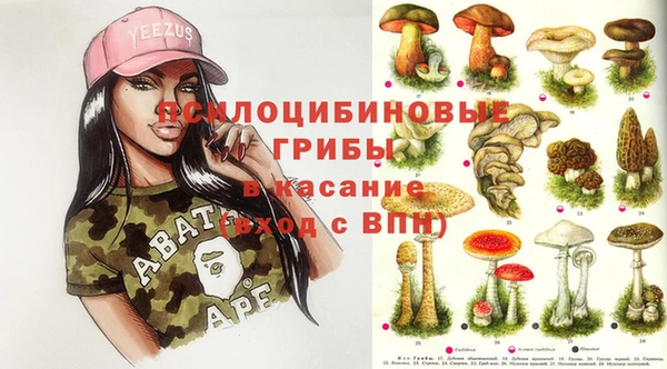 ALPHA PVP Верея