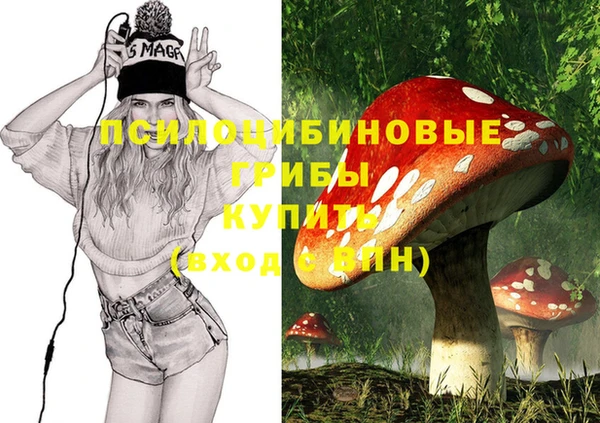 MDMA Бородино