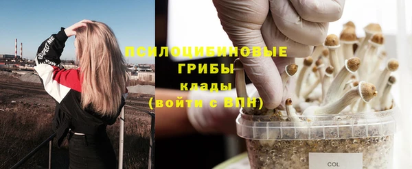винт Бугульма