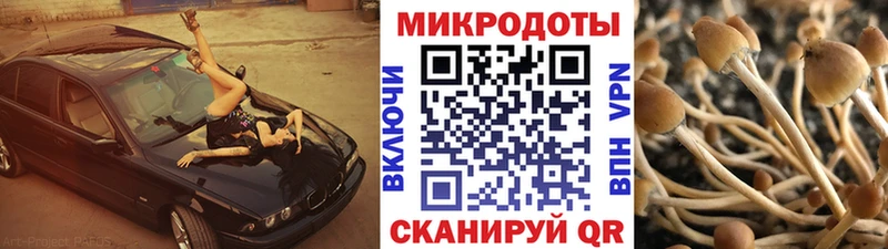 kraken онион  мориарти формула  Псилоцибиновые грибы Magic Shrooms  Ермолино 